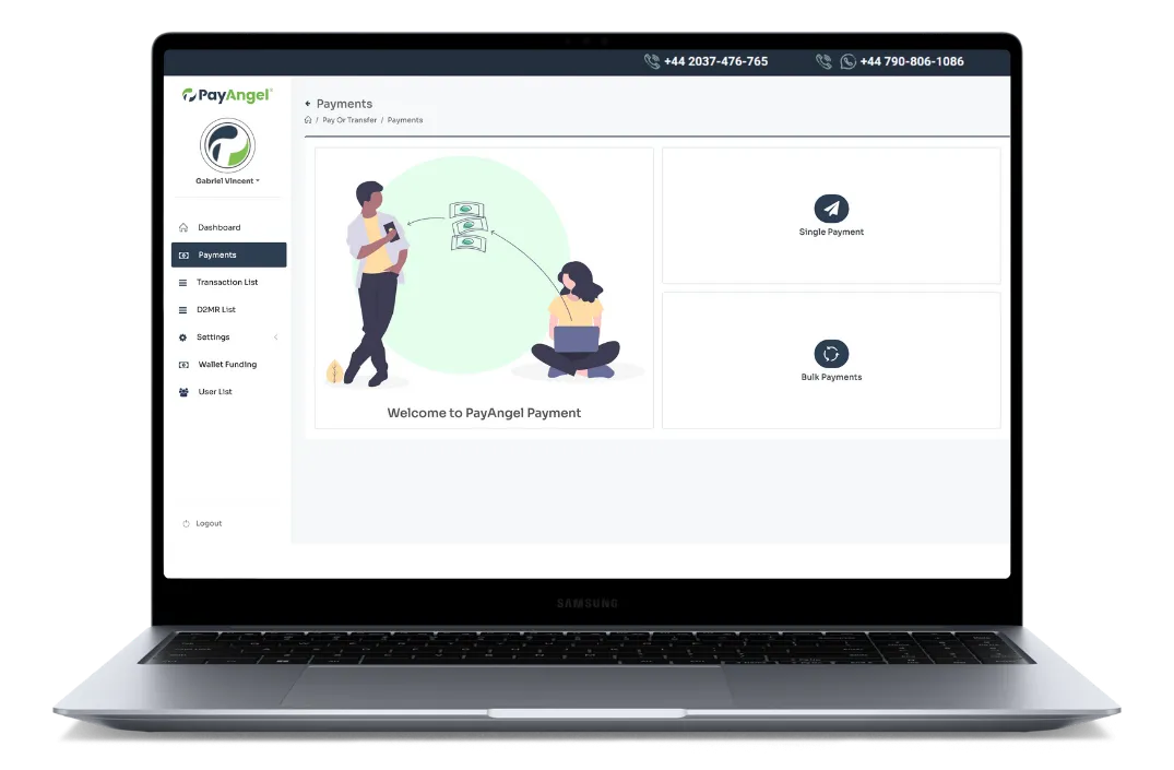 PayAngel Business Portal dashboard showing payment management and global disbursement features